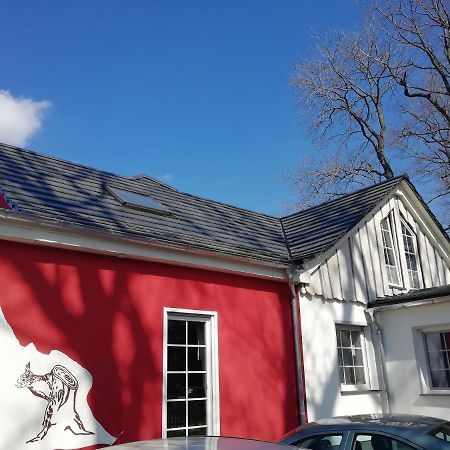 Kleines Studio im Eichenwäldchen, 1 Zimmer Küche Bad Friedrichsgrun Exterior foto