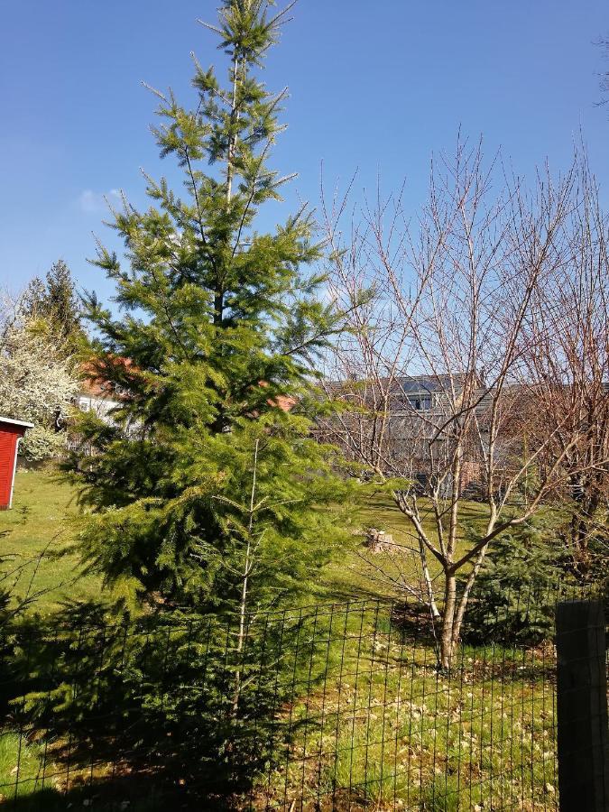Kleines Studio im Eichenwäldchen, 1 Zimmer Küche Bad Friedrichsgrun Exterior foto