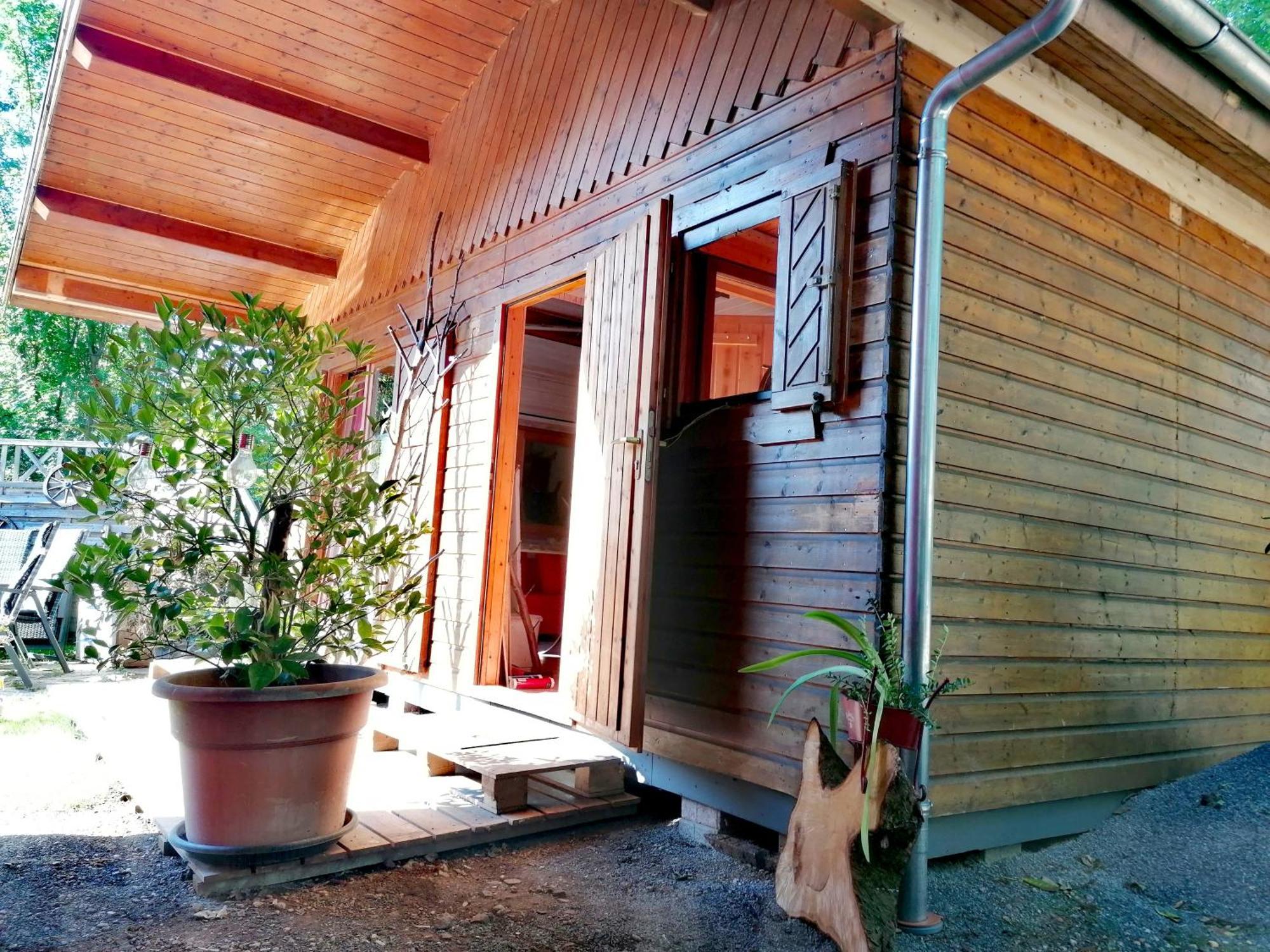 Kleines Studio im Eichenwäldchen, 1 Zimmer Küche Bad Friedrichsgrun Exterior foto